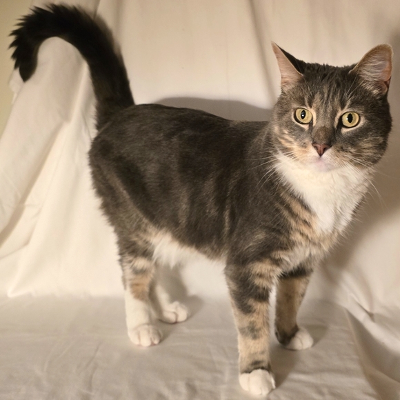 Happy Haggling! - Picture 1 of 1